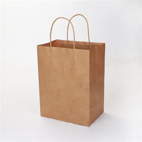 Ts Paper Bags 10x4x13 In Eco Bags India