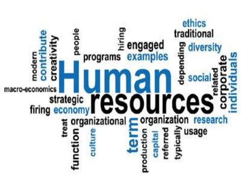 Human Resources Management Process by Derek Hendrikz