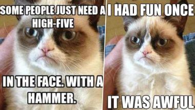 Grumpy Cat Funny Meme Rumaisa Peck