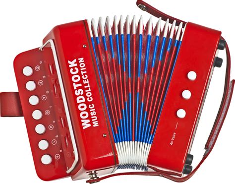 Pin By Sharon Nelson Mortimer On T Ideas Accordion Music Kids