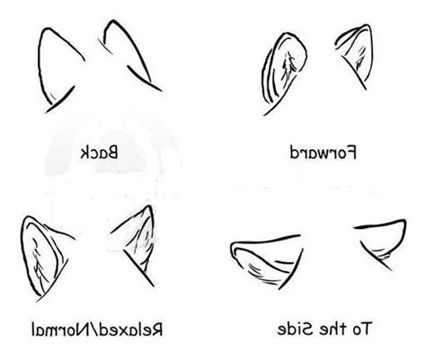 Pin By Zay Winters On Body Face And Hand How To Draw Wolf Ears
