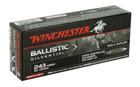 Winchester Ammunition Ballistic Silvertip 243 Super Short Magnum 95