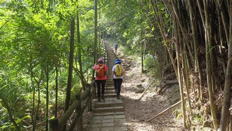 姨婆趴趴走第十三集桃園龜山福源山步道、大棟山縱走 健行筆記