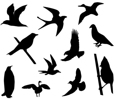Public Domain Clip Art Image Birds Silhouette Id 13545218417277