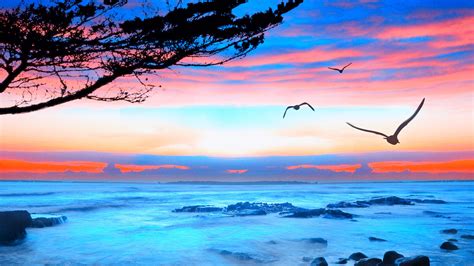 free-photo-ocean-view-blue,-clear,-crystal-free-download-jooinn