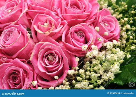 Pink Roses With Glitter Stock Image Image Of Bouquet 29508699