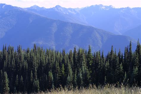 British Columbia Mainland Coastal Forests