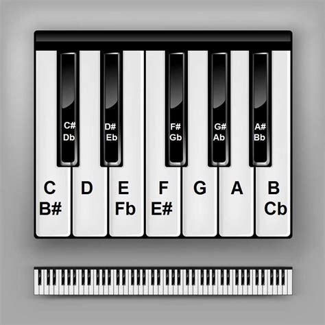 Printable Beginner Piano Keys