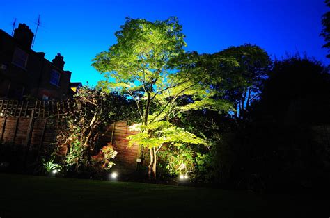 Turnham Green Uplighting A Tree Garden Lighting Design Garden