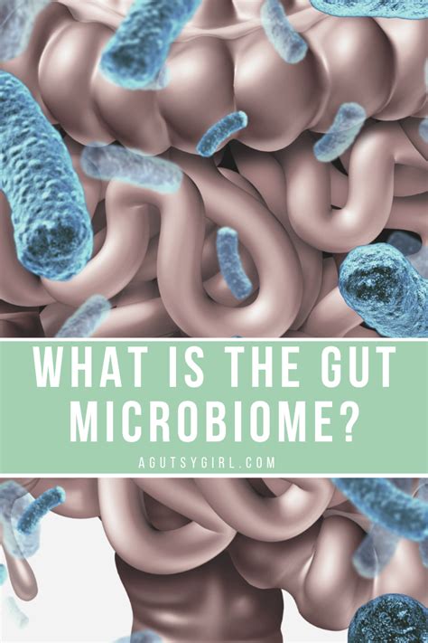 What Is The Gut Microbiome A Gutsy Girl®