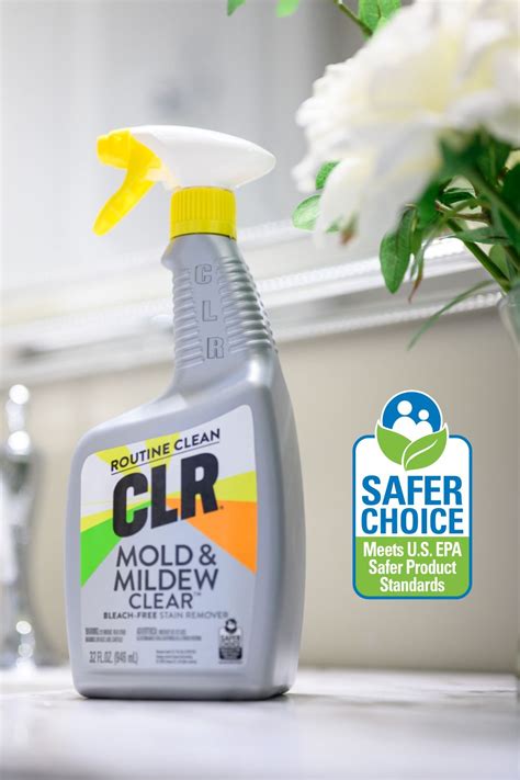 How To Fight Mold Mildew Mold And Mildew Mildew Stains Mildew
