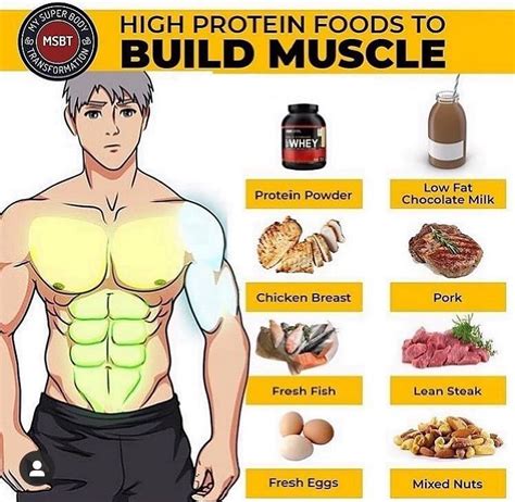 Best Diet For Muscles Buildings High Protein Recipes Muscle Building