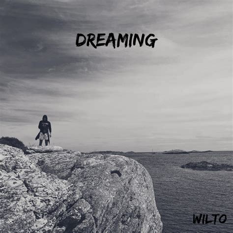 dreaming single by wilto spotify