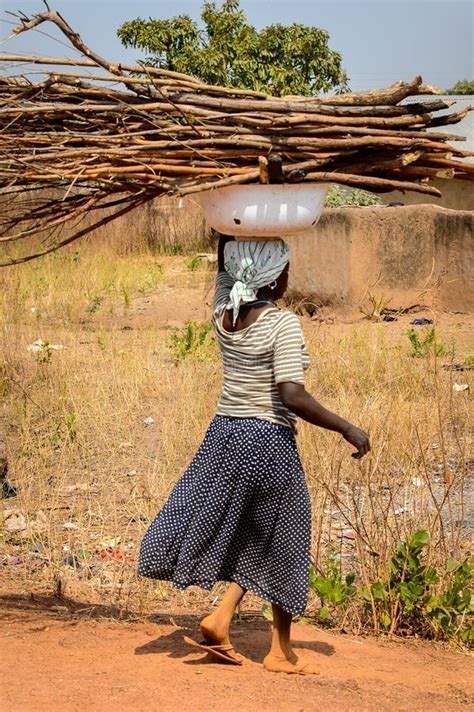 unidentified ghanaian woman carries wood over her head in a loc editorial stock image image of