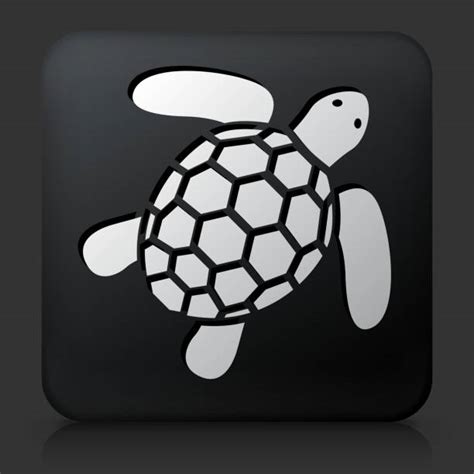 Best Turtle Black Background Illustrations Royalty Free Vector