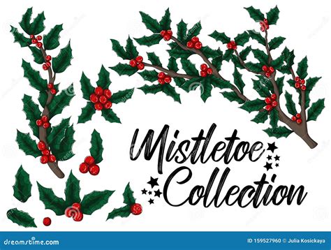 Colorful Hand Draw Mistletoe Collection For Christmas Stock