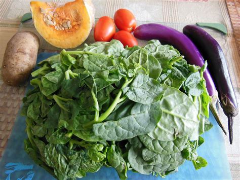 15 Little Known Leafy Vegetables Of India You Need To Try