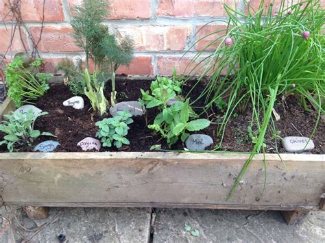 Growing A Container Herb Garden A Beautiful Space