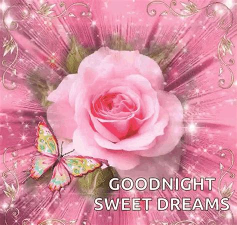 Sweet Dreams Good Night  Sweetdreams Goodnight Flower Discover
