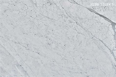 Bianco Statuario Marble Slabs Suppliers Vancouver Burnaby Hari Stones