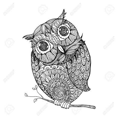 Owl Drawing Color At Getdrawings Free Download