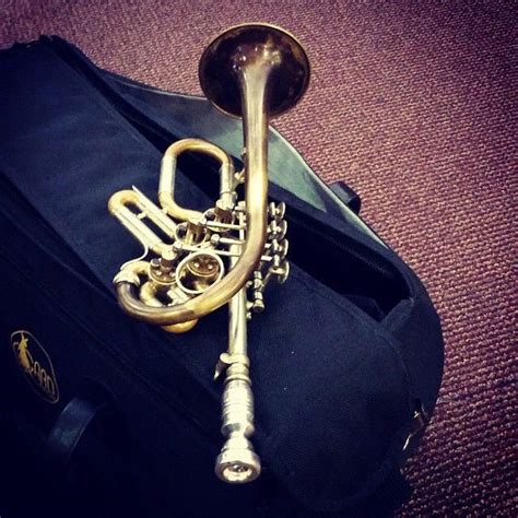 Utah symphony flute caitlyn valovick moore plays the ode to joy melody to demonstrate the timbre of a piccolo.want to learn more about the instruments in. Zirnbauer piccolo trumpet | Brass instrument, Brass music ...