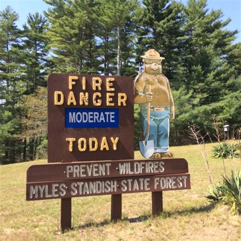 Myles Standish State Forest Carver Ma