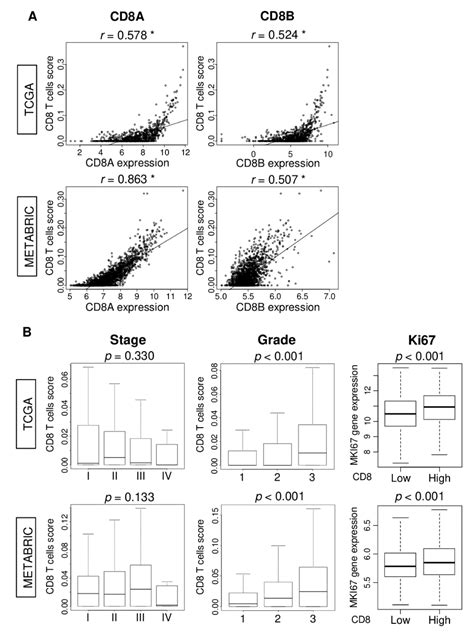 Ijms Free Full Text Cd8 T Cell Score As A Prognostic Biomarker For