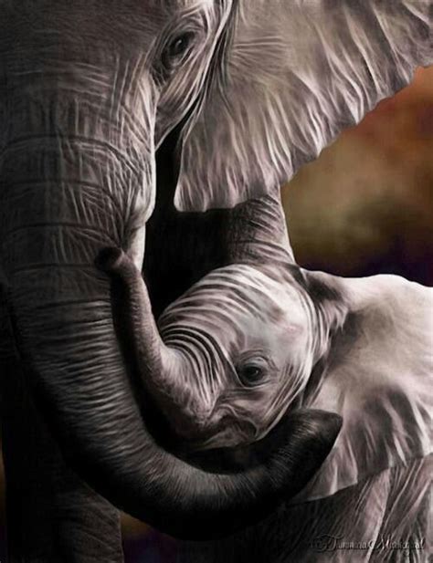 Elephant Hugs Elephant Elephant Love Baby Animals