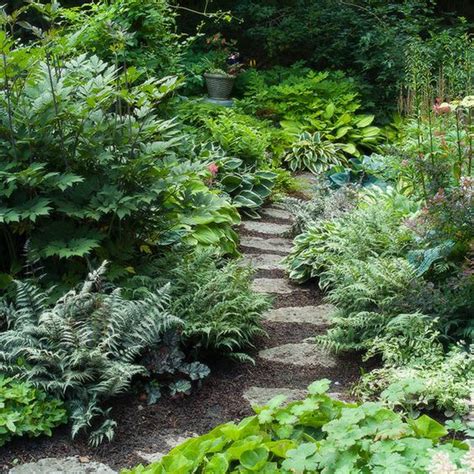 Many of the options for shade plants in zone 5 will even flower and fruit, further adding interest to a low. Shade garden pathway | Yard ideas | Pinterest | Gardens ...