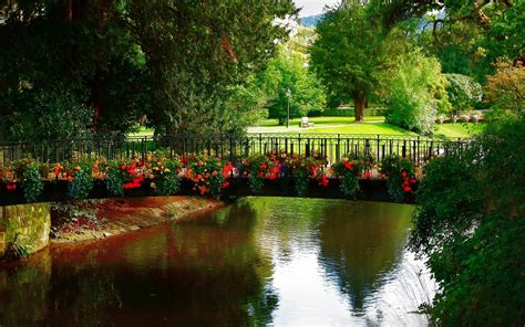 Wallpaper Park Bridge Flowers River Trees Bench Green 2560x1600