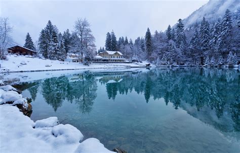 Wallpaper Winter Forest Water Snow Reflection Trees Lake Home