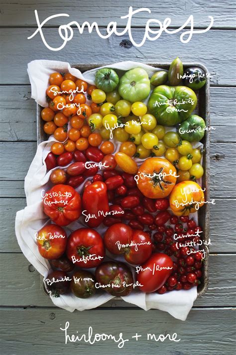 Different Types Of Tomatoes Popsugar Food