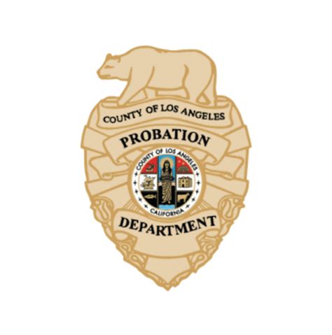 County Probation Receives Grant To Monitor High Risk Dui