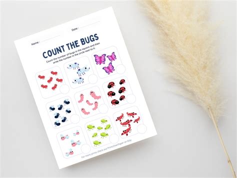 Count The Bugs Math Counting Worksheet Printable Digital Etsy