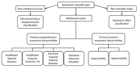 Proposed Classification Of Primary Patterns Of Movement Impairments