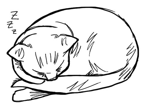How To Draw Sleeping Cat