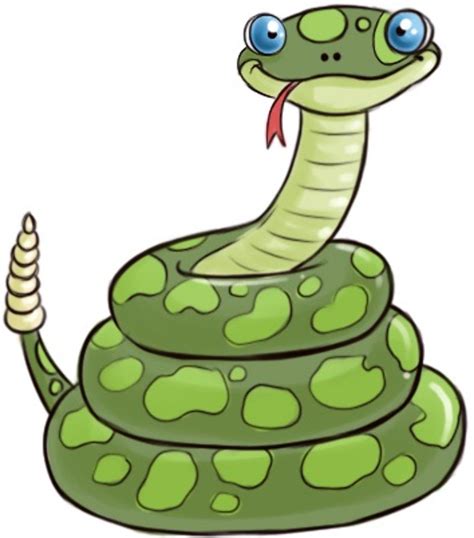 Download High Quality Snake Clipart Coiled Transparent Png Images Art
