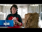 Bauernhof: Die Tierkinder kommen | Hofgeschichten | NDR Doku | Jetzt ...