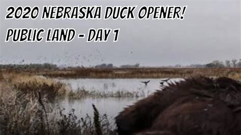 Duck Hunting 2020 Nebraska Opening Day On Public Land Youtube