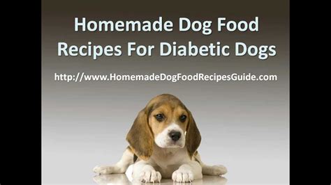 The ingredients used in the recipe are also fresh. Homemade Dog Food Recipes for Diabetic Dogs - YouTube