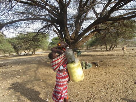 Gender Inequality As A Contributing Factor To Food And Nutrition