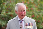 Mature Men of TV and Films - Charles, Prince of Wales Now here’s the ...