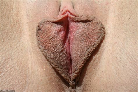Big845 In Gallery Milf With Huge Pussy Lips Picture