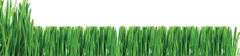 Follow our expert advice on keeping lawn grass in peak condition. Lawn Care Clipart & Look At Clip Art Images - ClipartLook
