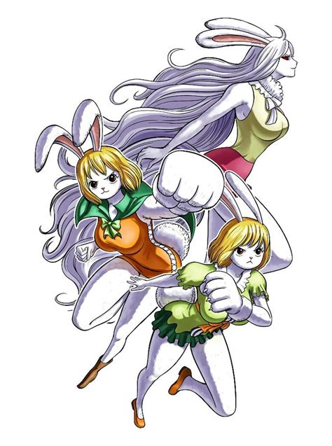 Carrot Is Literally Thicc Onepiece