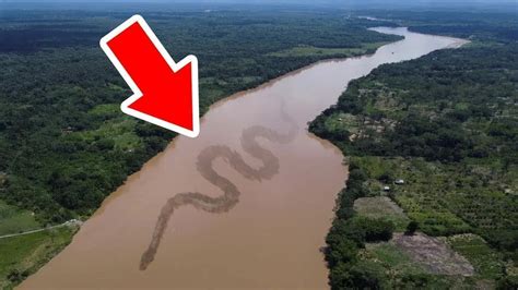 अमेज़न नदी पर एक भी पुल आख़िर क्यों नहीं बना है Why The Amazon River