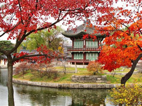 Korean Autumn Wallpapers Top Free Korean Autumn Backgrounds