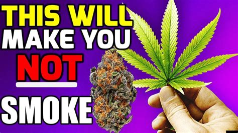 It's not the general public that annoys me, it's the scientists. WARNING** THIS VIDEO Will Make You Stop Smoking Marijuana! - YouTube