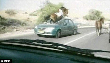 The normal position it is in when driving put the car in 2nd gear, and hit the clutch and hold it get someone to push/pull the car so that you have a little speed on the car release the clutch swiftly, and the car will most likely start Pictured: The horse who tried to jump over a car - but ...